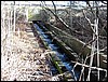 Red Brook<br> fish ladder