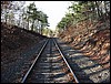 Monk's Cove RR Tracks