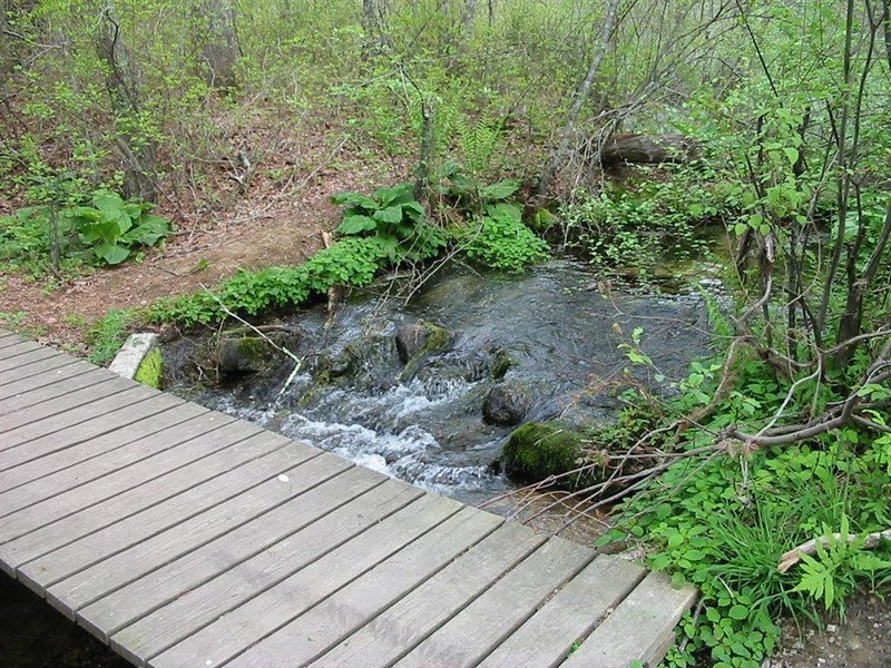 four ponds freeman's pond footbridge.jpg