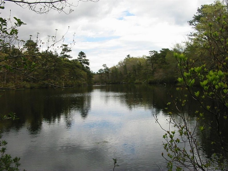 four ponds freeman's pond.jpg