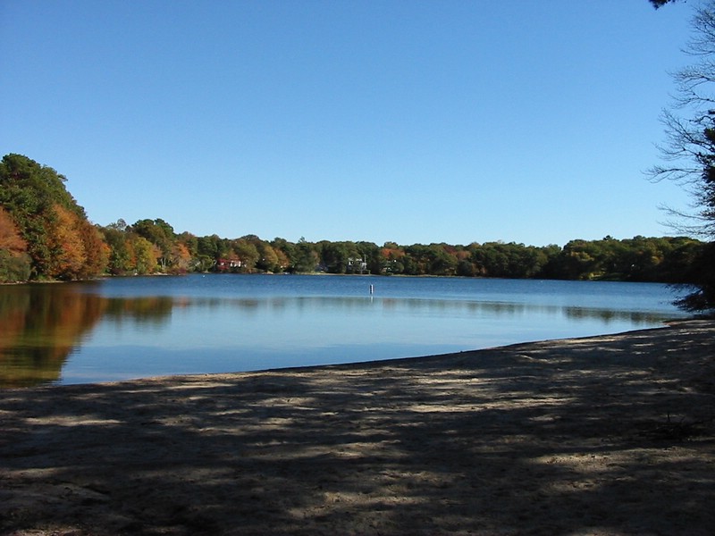 picturelakebeach.jpg