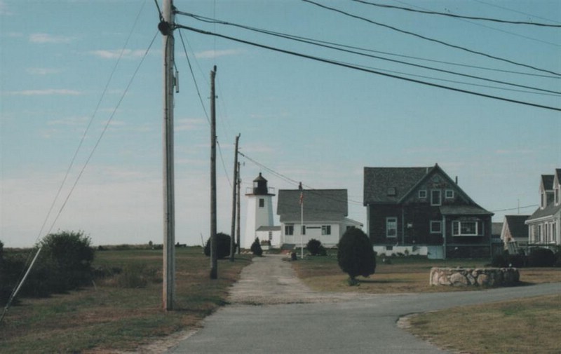 wingsneck light2.jpg