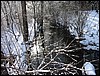 Four Pond winter