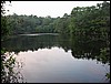 Four Ponds<br> Freeman's Pond